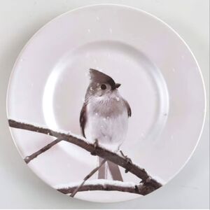 Snow Forest Bird Accent Salad Plate by Pier 1 Imports Plump Bird on Tree Branch
